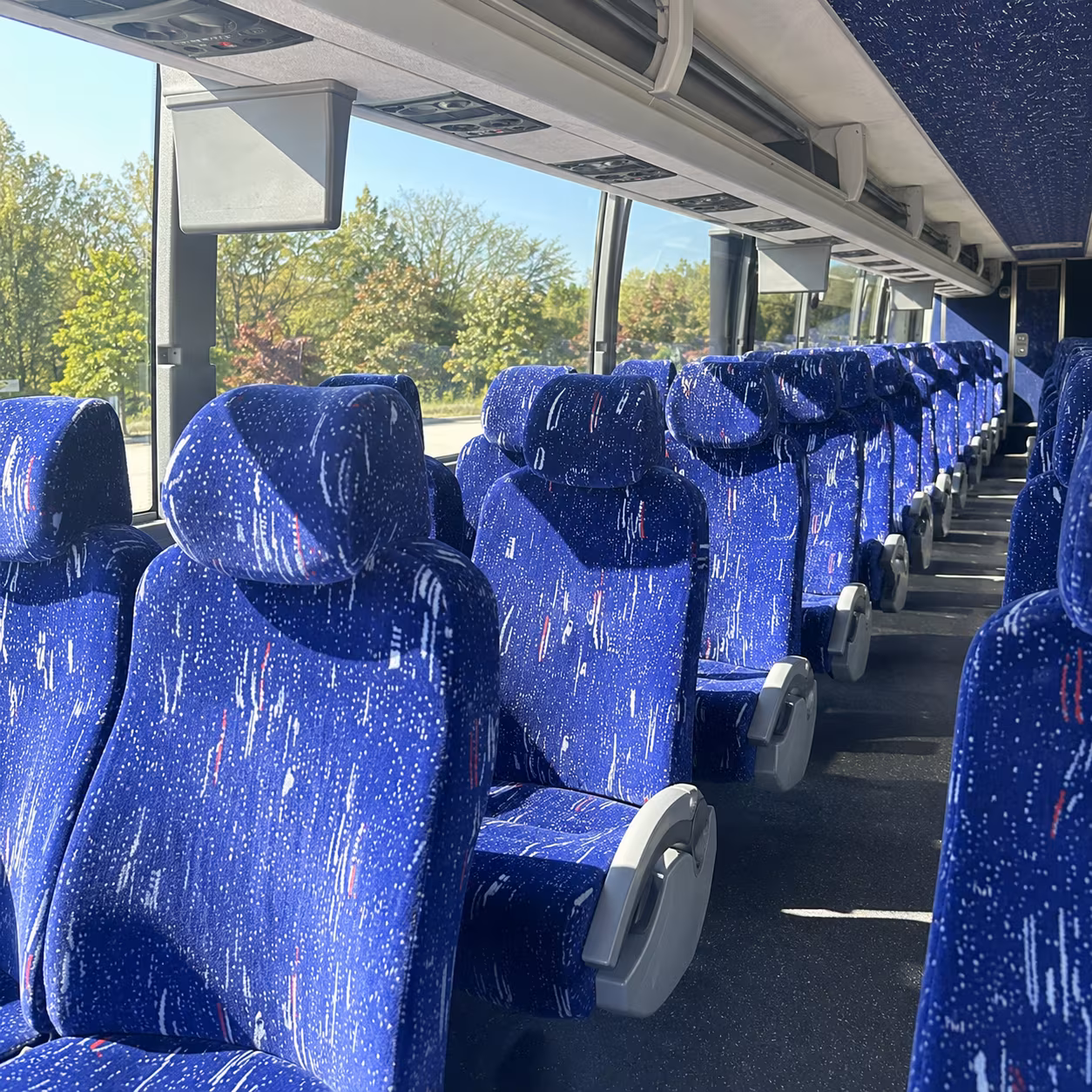 find the perfect transportation for your next birthday 3