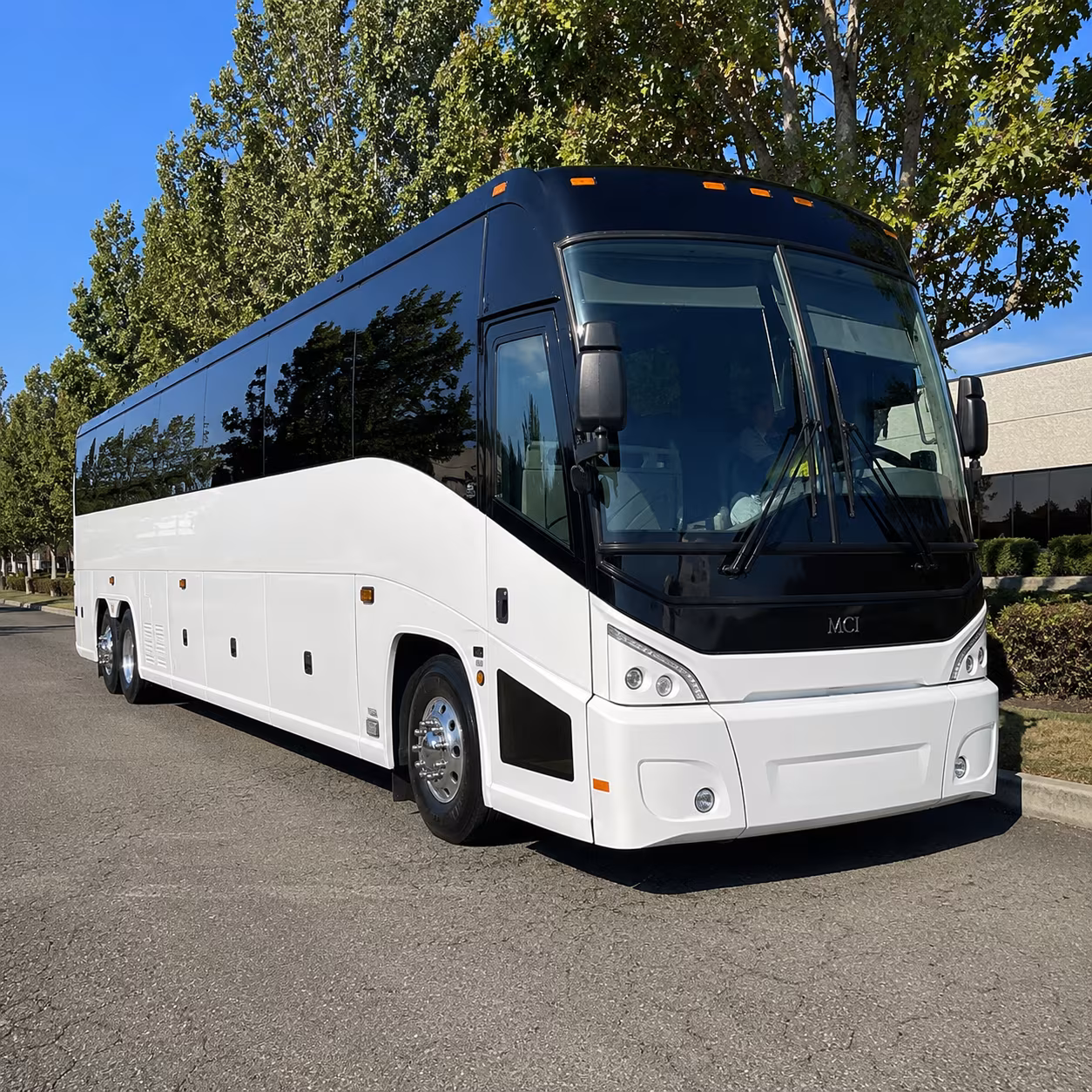 pharr 50 passenger charter bus