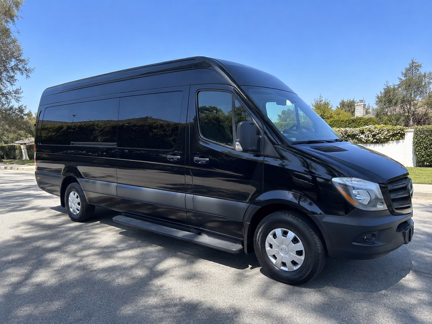 pharr birthday party transportation