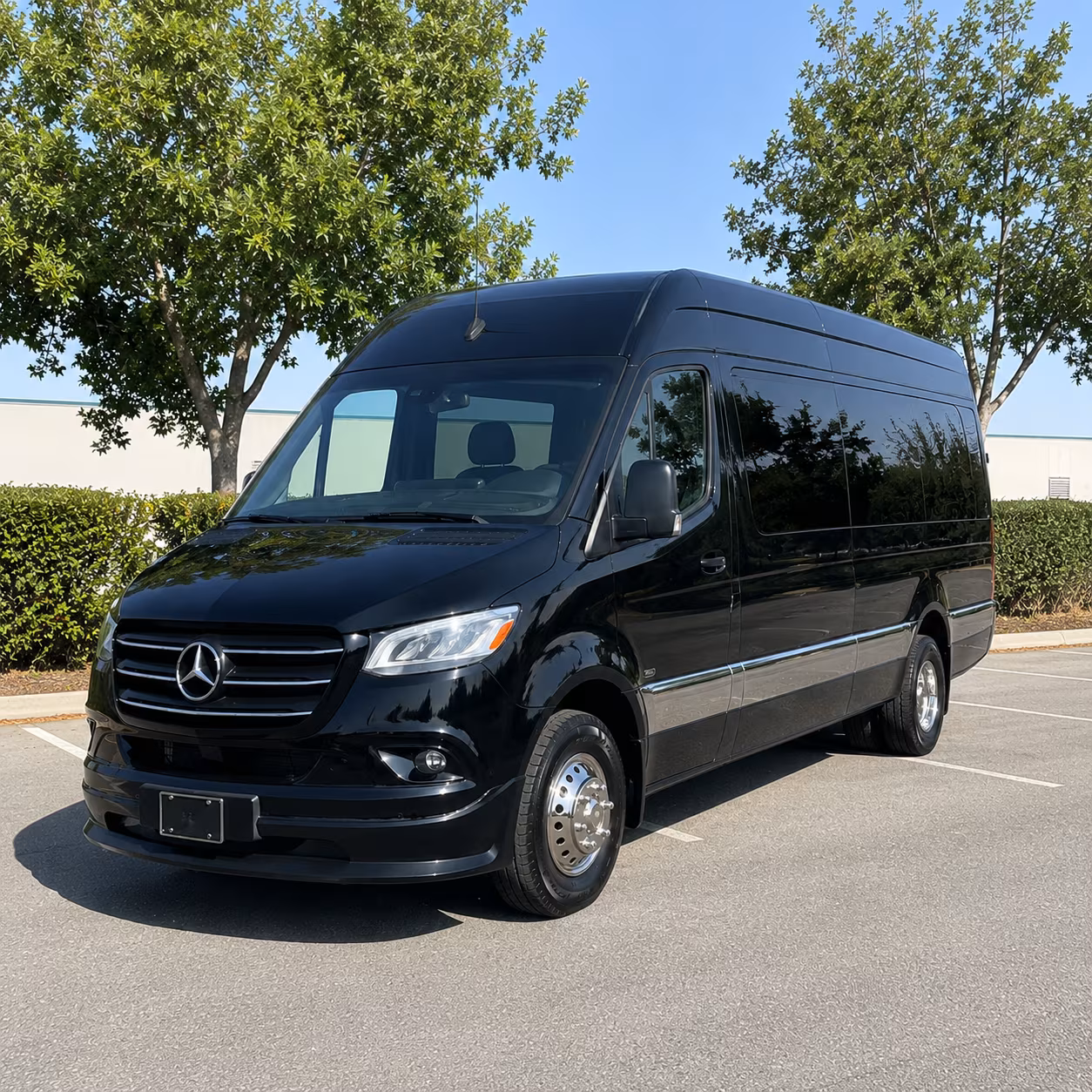 pharr sprinter van with driver